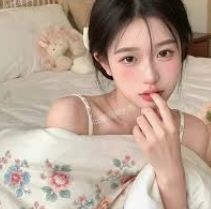 基础应用栏目